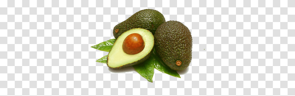 Avocado, Fruit, Plant, Food Transparent Png