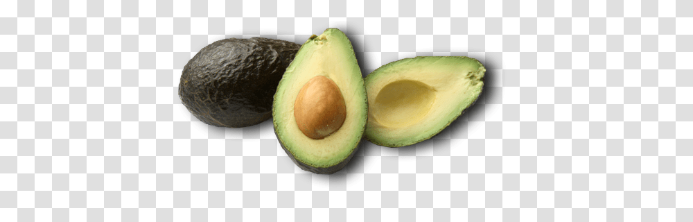 Avocado, Fruit, Plant, Food Transparent Png