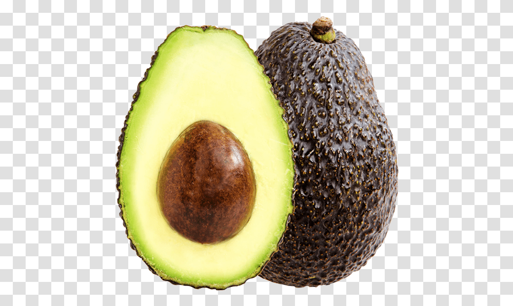 Avocado Hass Avocado, Plant, Fruit, Food Transparent Png