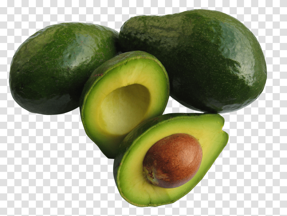 Avocado High Res Avocado, Plant, Fruit, Food, Apple Transparent Png
