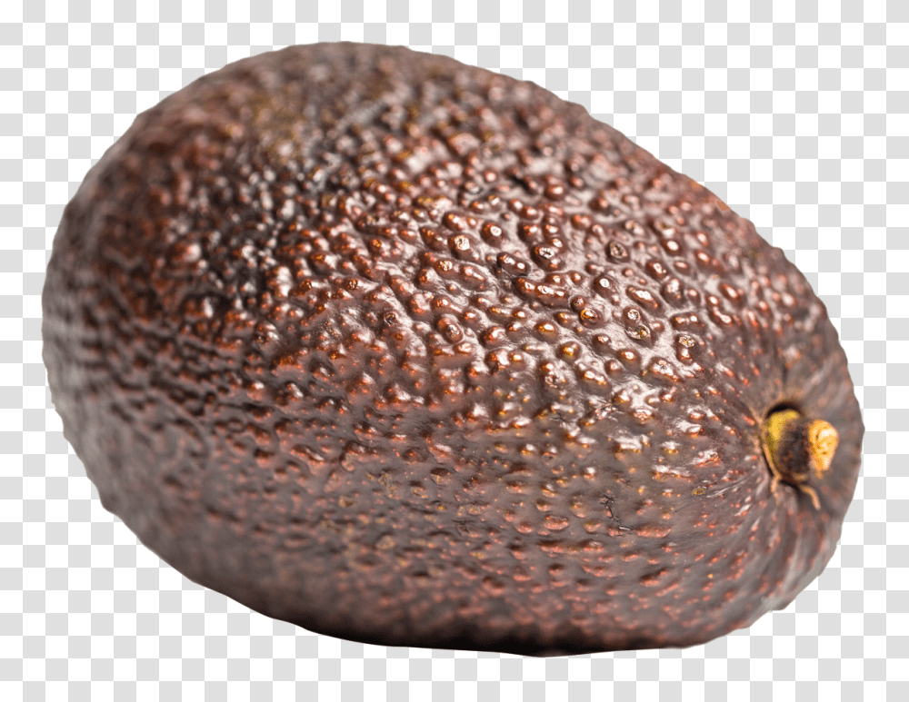 Avocado Image, Fruit, Plant, Food, Bread Transparent Png