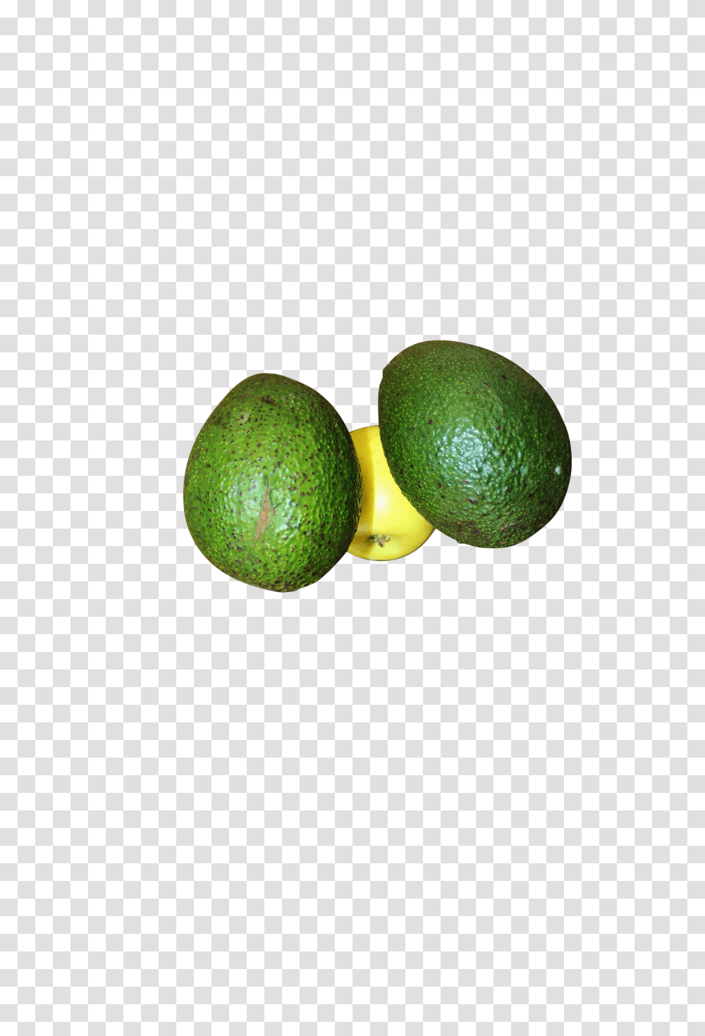 Avocado Image Persian Lime, Plant, Fruit, Food Transparent Png