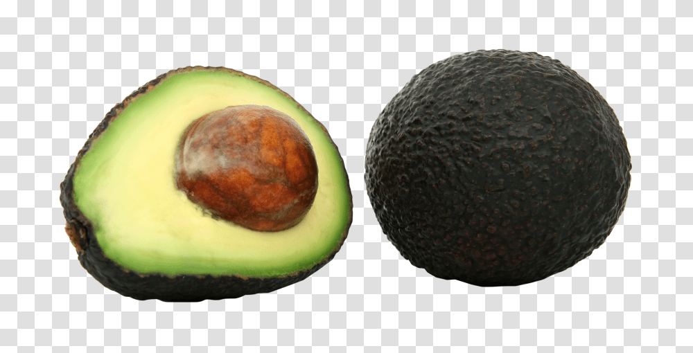 Avocado Image1, Fruit, Plant, Food Transparent Png