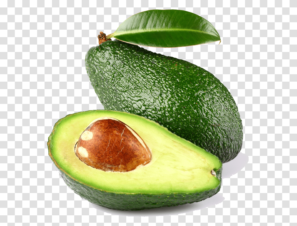 Avocado Images Avocado, Plant, Fruit, Food, Pineapple Transparent Png