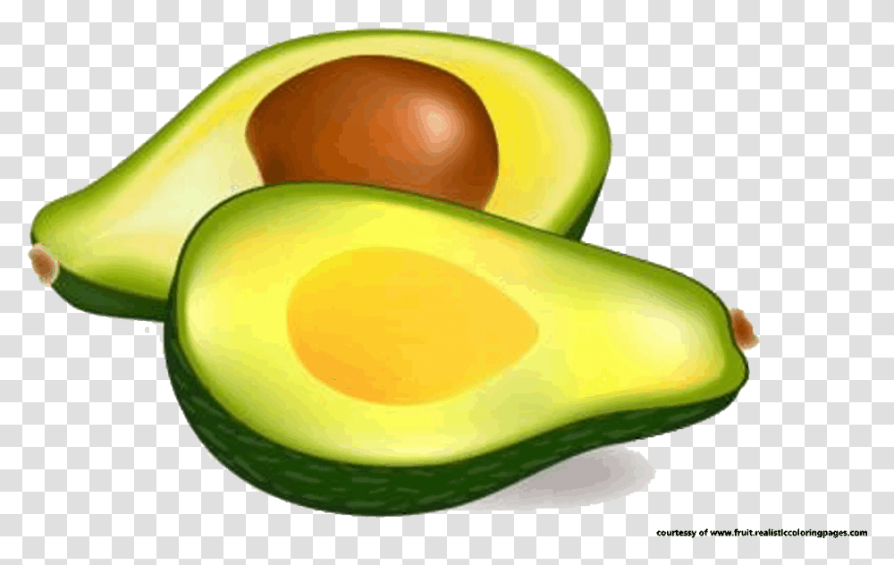 Avocado Images Free Background Avocado Clipart, Plant, Fruit, Food Transparent Png