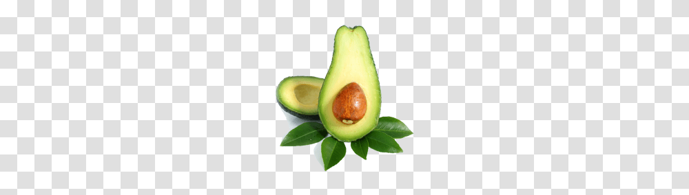 Avocado Images Free Download, Plant, Fruit, Food, Banana Transparent Png
