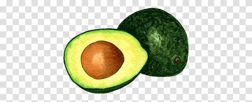 Avocado In High Resolution Avocado, Tennis Ball, Sport, Sports, Plant Transparent Png