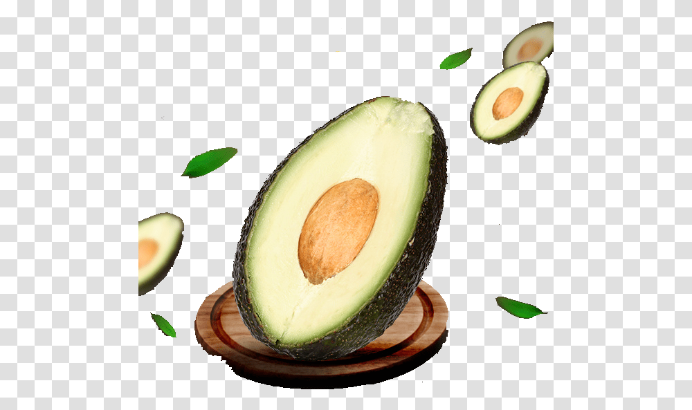 Avocado Leaf Icon, Plant, Fruit, Food, Egg Transparent Png