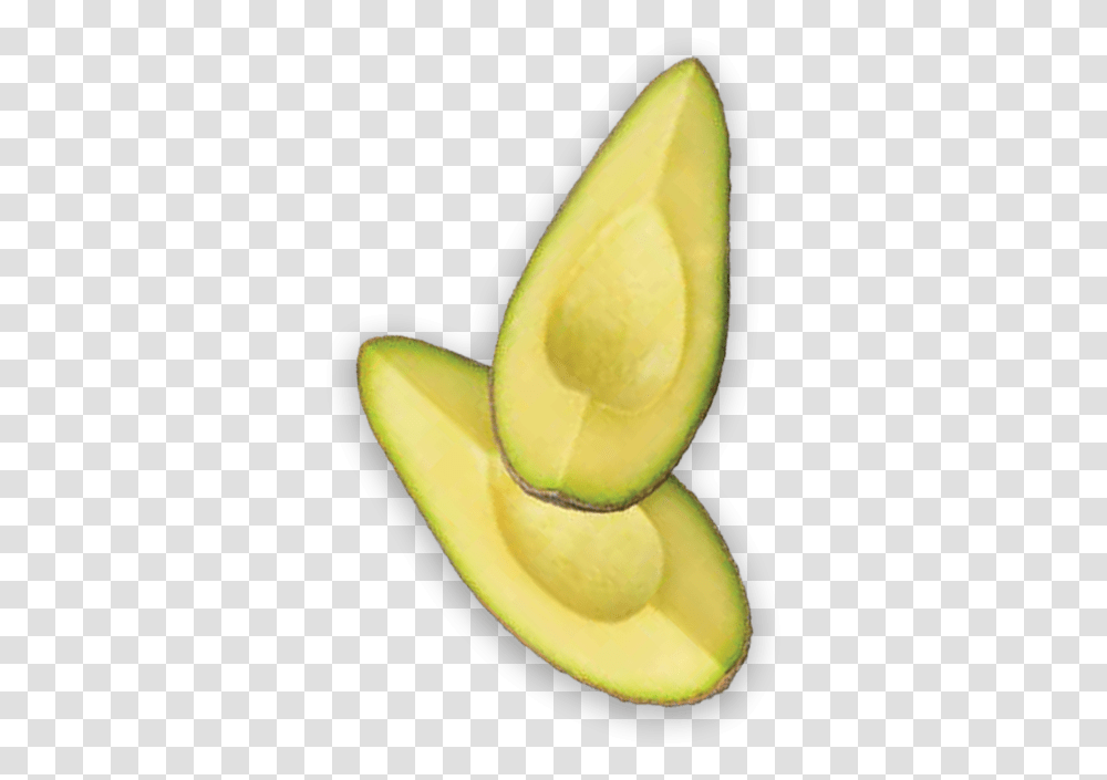Avocado Nutrition Health Benefits Superfood, Plant, Fruit, Banana Transparent Png