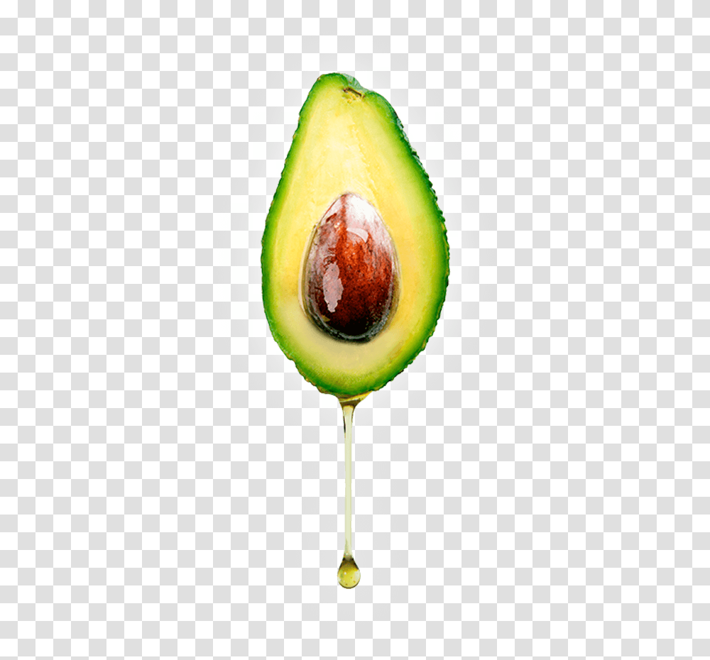 Avocado Oil Drip, Plant, Fruit, Food Transparent Png