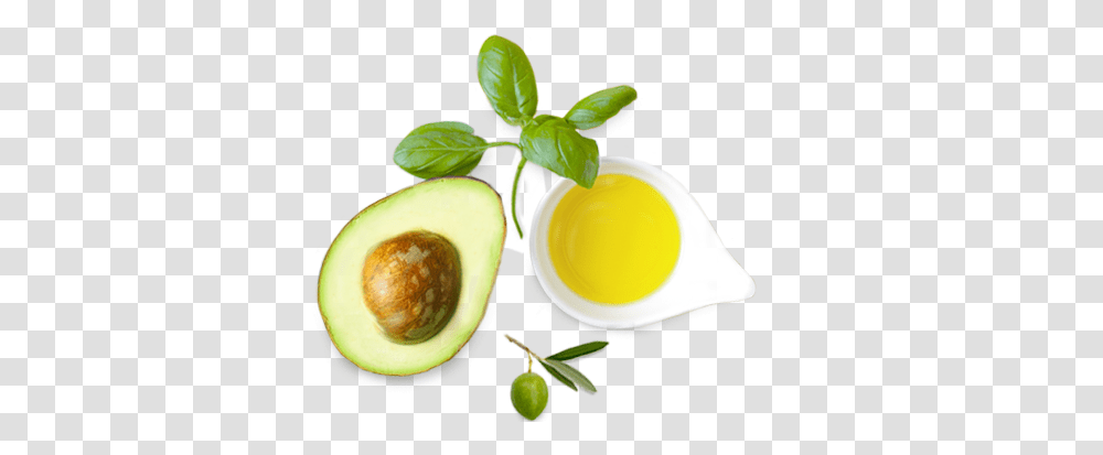 Avocado Olive Basil, Plant, Fruit, Food, Dish Transparent Png