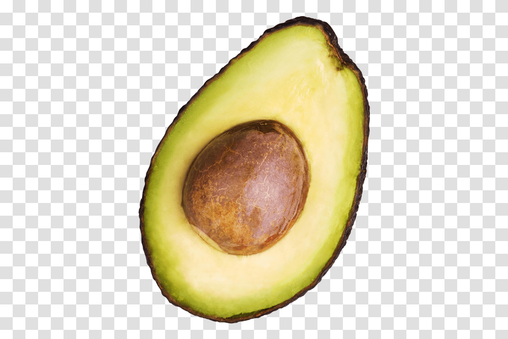 Avocado, Plant, Fruit, Food, Banana Transparent Png