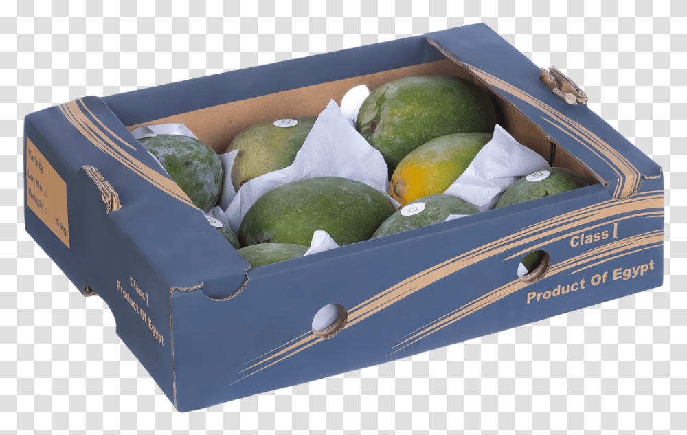 Avocado, Plant, Fruit, Food, Box Transparent Png