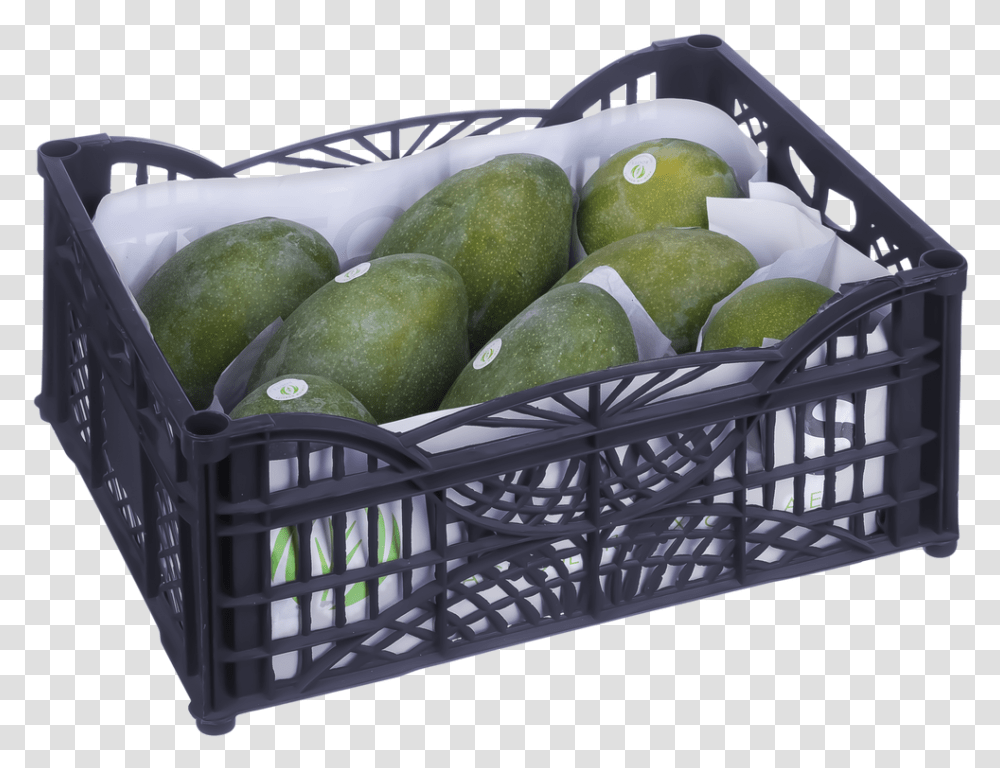Avocado, Plant, Fruit, Food, Crib Transparent Png