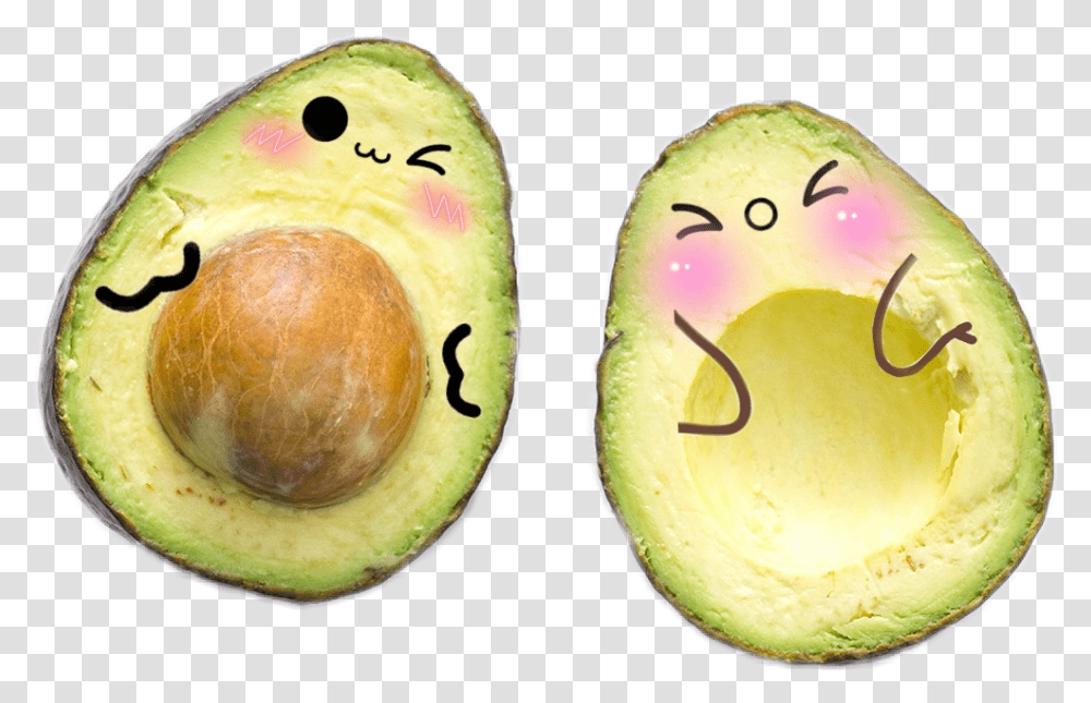 Avocado, Plant, Fruit, Food, Egg Transparent Png