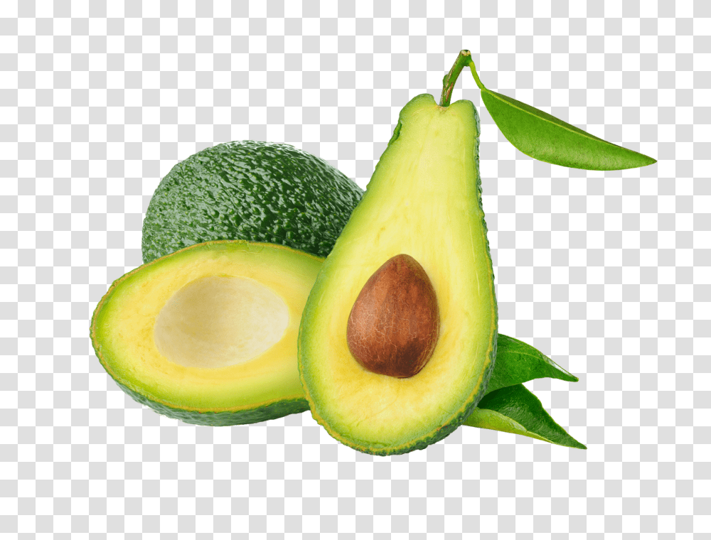 Avocado, Plant, Fruit, Food, Egg Transparent Png