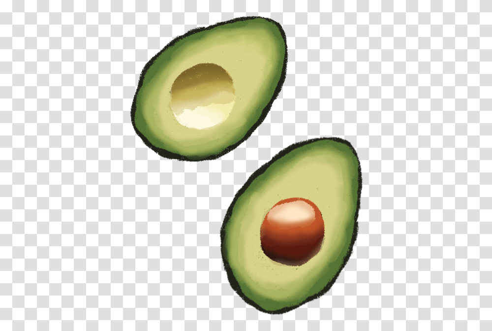 Avocado, Plant, Fruit, Food, Egg Transparent Png