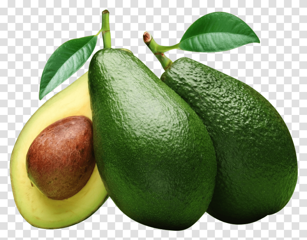 Avocado, Plant, Fruit, Food, Pear Transparent Png