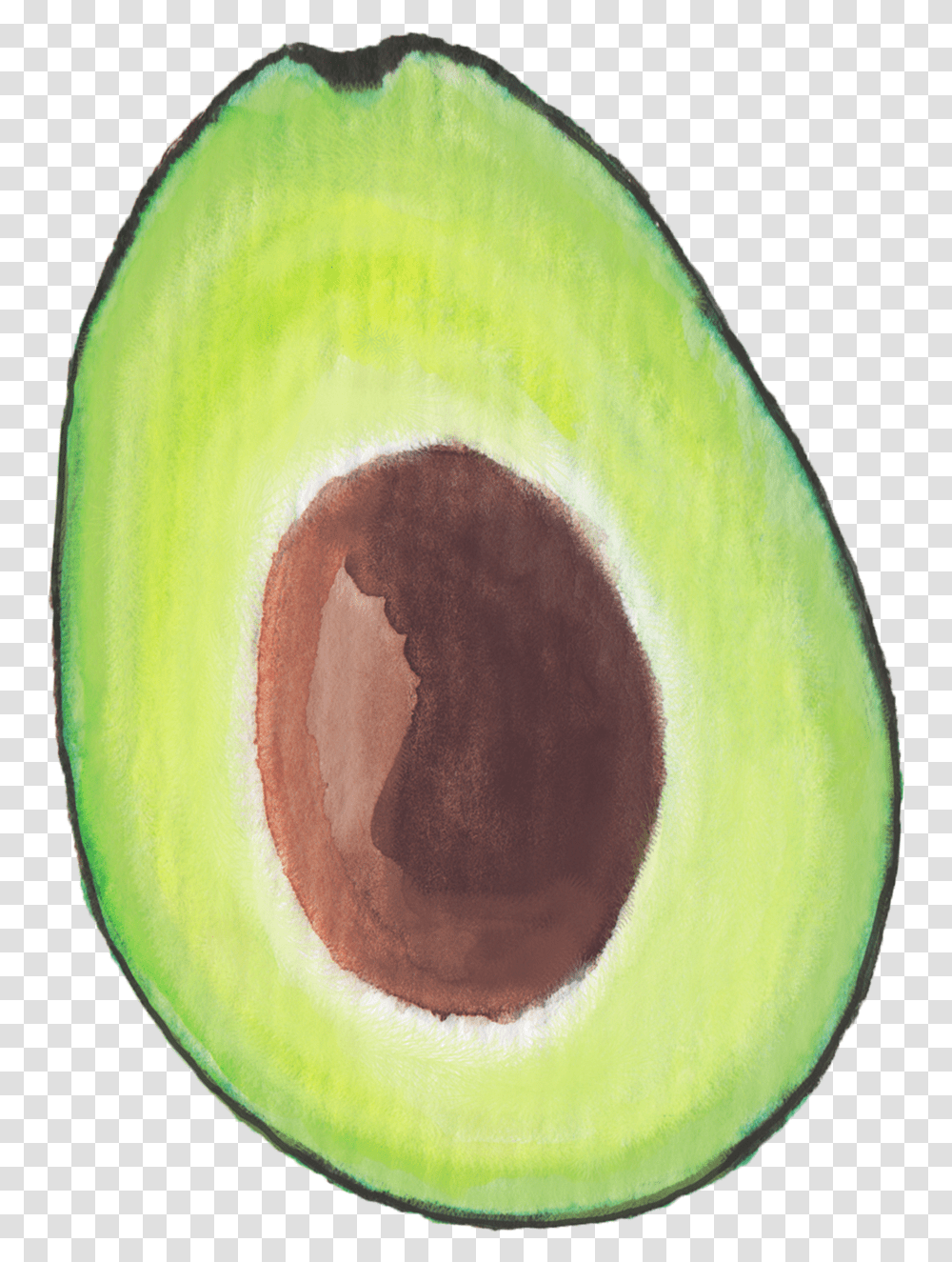 Avocado, Plant, Fruit, Food, Tennis Ball Transparent Png