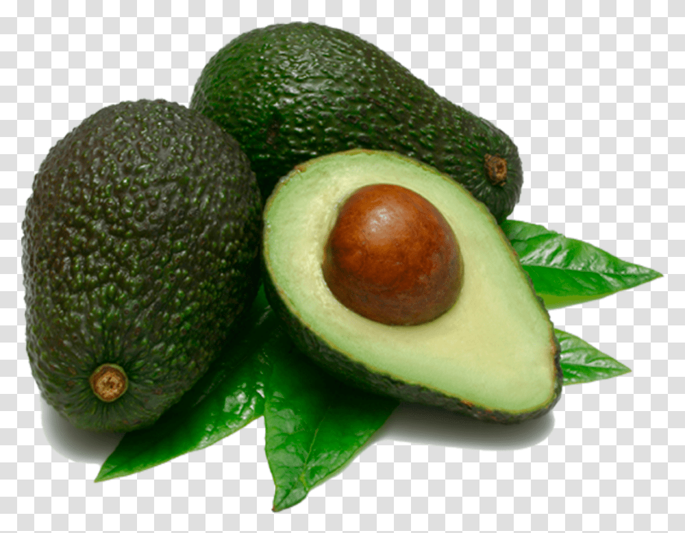 Avocado, Plant, Fruit, Food Transparent Png