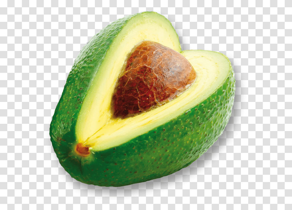 Avocado, Plant, Fruit, Food Transparent Png