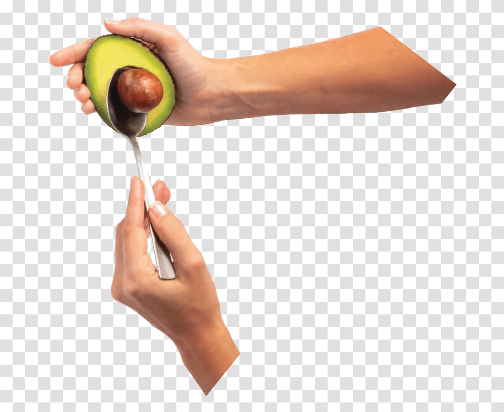 Avocado, Plant, Person, Fruit, Food Transparent Png