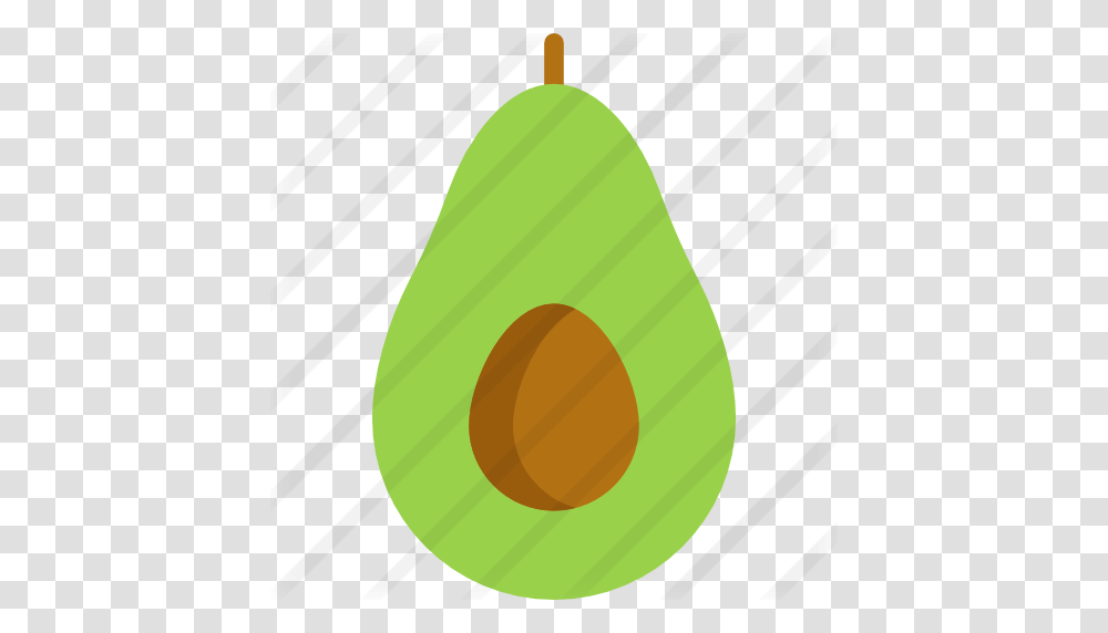 Avocado, Plant, Tennis Ball, Sport, Sports Transparent Png