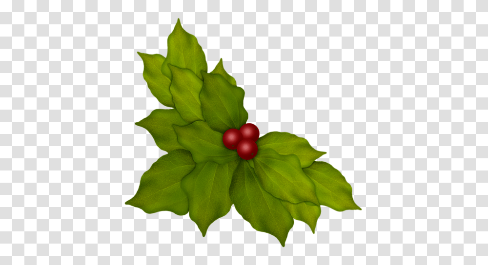 Aw Woodland Leaves And Berries Bells Holly Pinecones, Leaf, Plant, Green Transparent Png