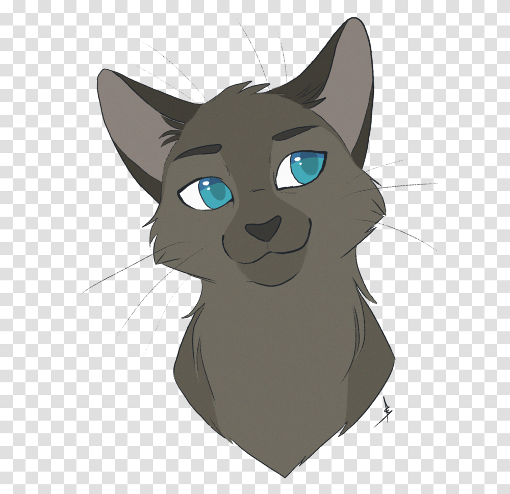 Awesome Anime Cat Drawing Outline Collection Of Anime Drawings Of Warrior Cats, Pet, Mammal, Animal, Black Cat Transparent Png