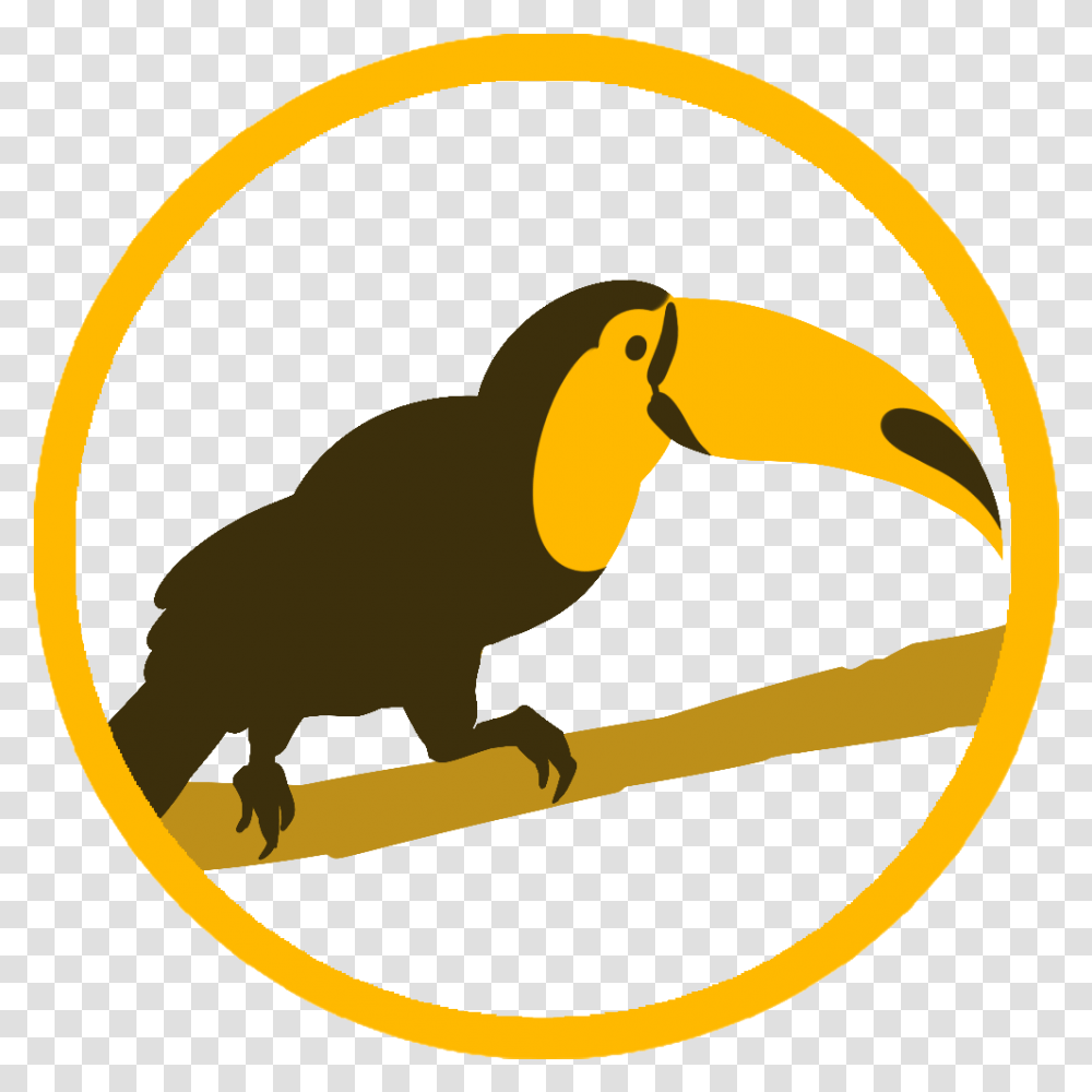 Awesome Face Clipart Toucan, Bird, Animal, Hook Transparent Png
