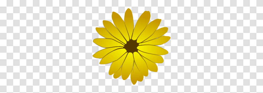 Awesome Royalty Free, Plant, Flower, Blossom, Daisy Transparent Png