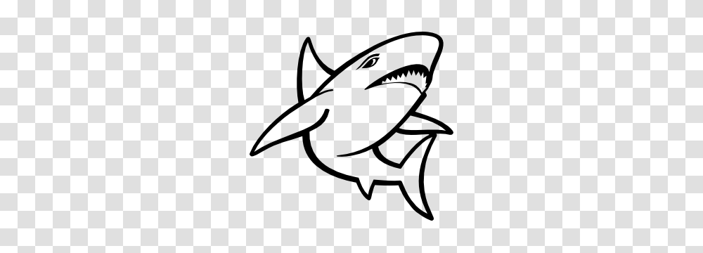 Awesome Shark Stickers Car Decals Over Designs, Sea Life, Fish, Animal, Great White Shark Transparent Png