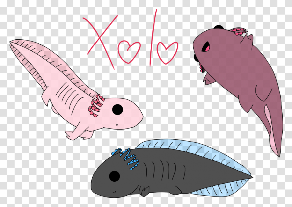 Axolotl Doodles Illustration, Animal, Mammal, Sea Life Transparent Png