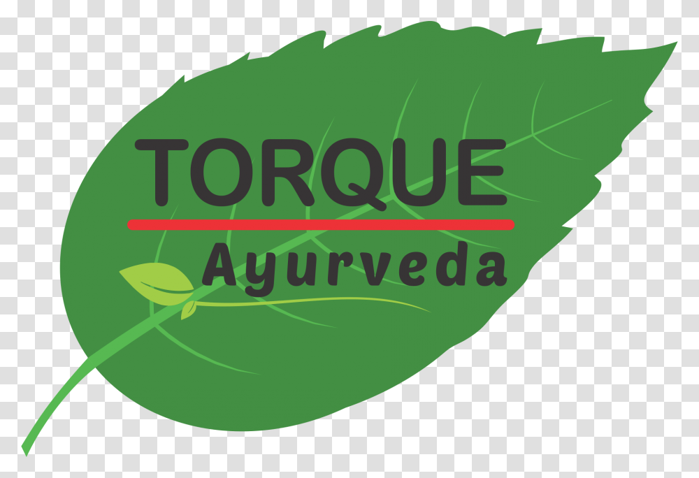 Ayurveda Torque Ayurveda, Logo, Plant Transparent Png
