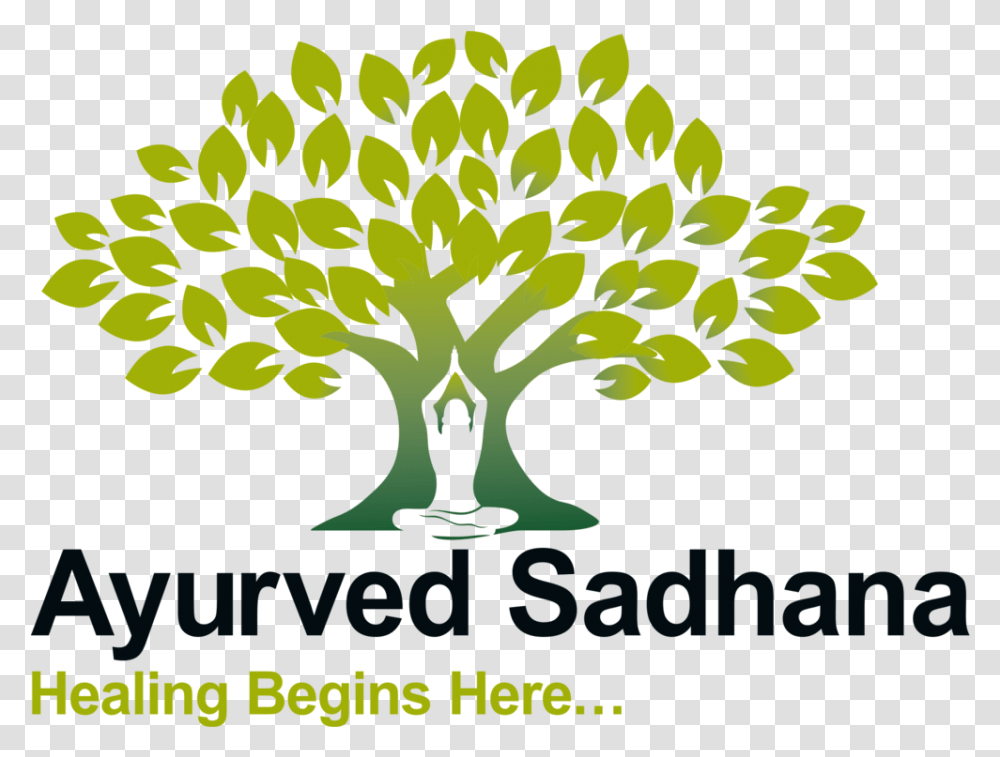 Ayurvedic Doctor Programs - National Medical Drawing Buddha With Tree, Plant, Vegetation, Bush, Outdoors Transparent Png
