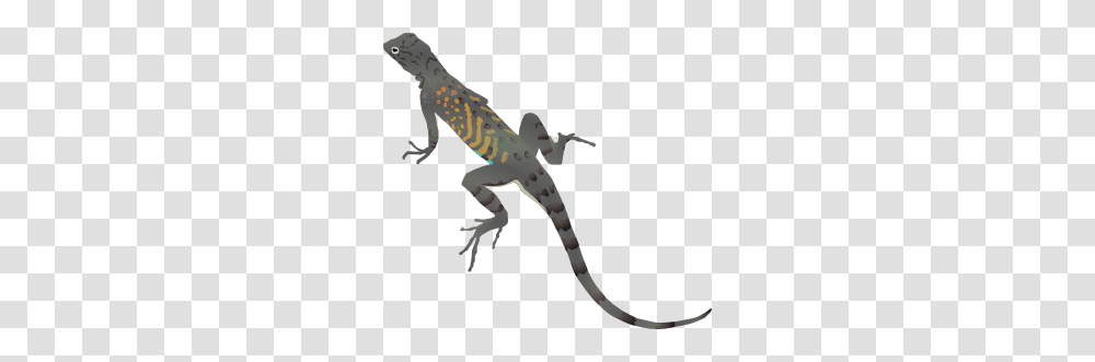Az Lizard Clip Art, Gecko, Reptile, Animal, Anole Transparent Png
