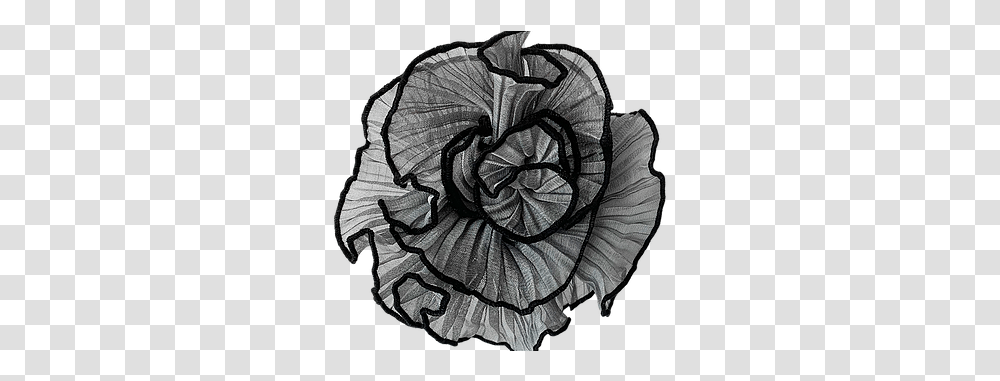 Azalea Pleated Flower Datura Inoxia, Drawing, Art, Plant, Spiral Transparent Png