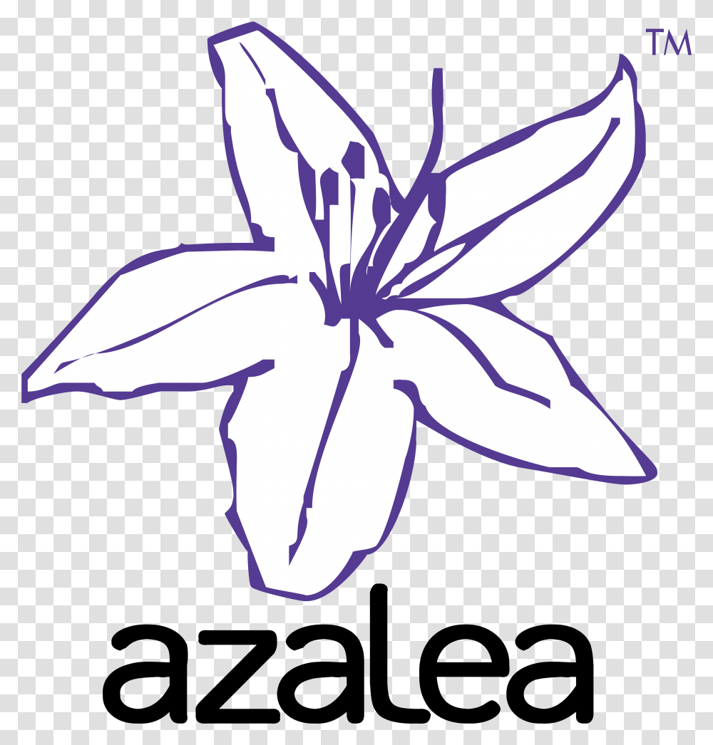 Azalea Software Azalea Flower Vector, Plant, Blossom, Petal, Anemone Transparent Png