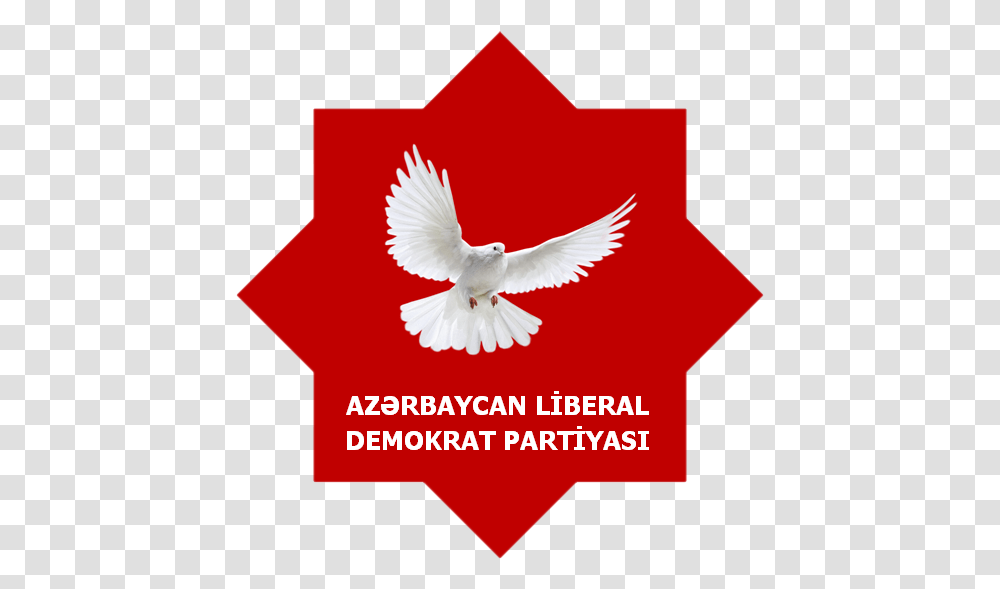 Azerbaijani Liberal Democrat Party White Dove, Bird, Animal, Pigeon, Symbol Transparent Png