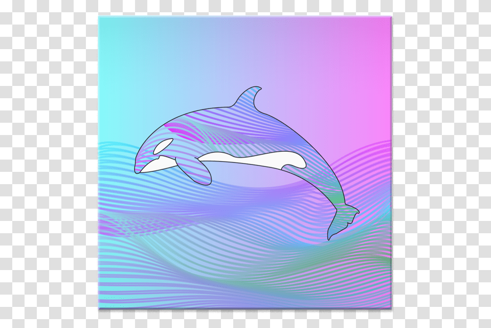 Azulejo O R C A De Mat Cvlcntna Common Bottlenose Dolphin, Mammal, Animal, Sea Life, Fish Transparent Png