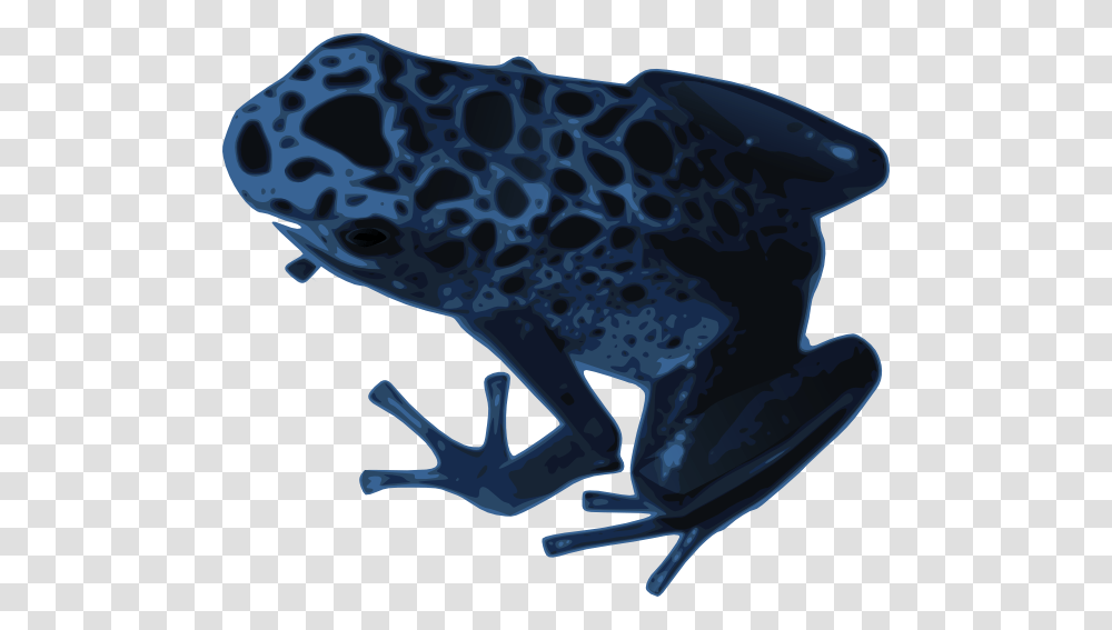 Azureus Frog Clip Art, Wildlife, Animal, Amphibian, Helmet Transparent Png