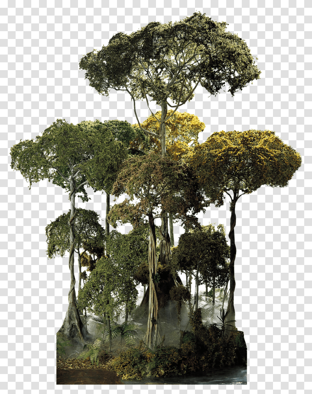 B Waterfall In Tropical Forest Tropical Forest Tree, Plant, Cross, Mineral, Outdoors Transparent Png