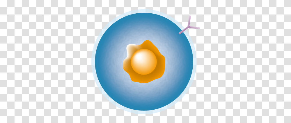 B Cell, Sphere, Astronomy, Outer Space, Universe Transparent Png