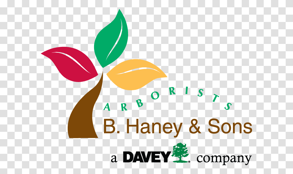 B Haney And Sons Arborists, Logo Transparent Png
