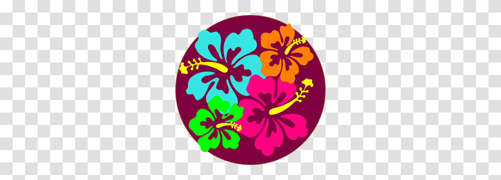 B Images Icon Cliparts, Hibiscus, Flower, Plant, Blossom Transparent Png