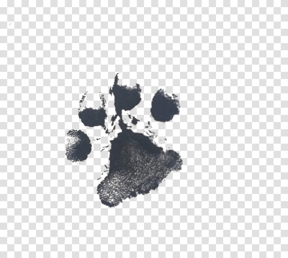 B Tree, Footprint Transparent Png