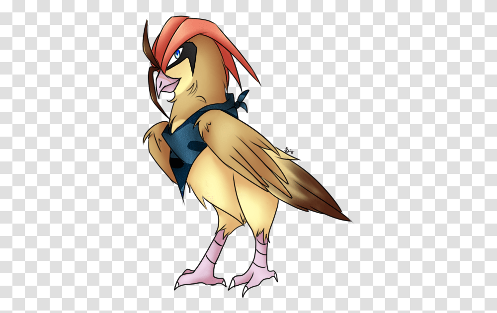 Baaron The Pidgeotto Pokcharms Bird Of Prey, Animal, Person, Human, Manga Transparent Png