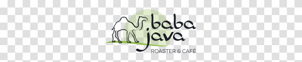 Baba Java Roaster Cafe, Animal, Reptile, Dinosaur, Snake Transparent Png