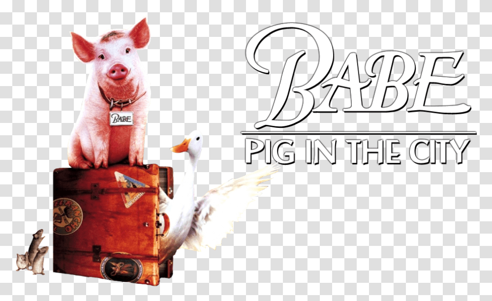 Babe Babe Pig In The City, Animal, Mammal, Bird, Hog Transparent Png