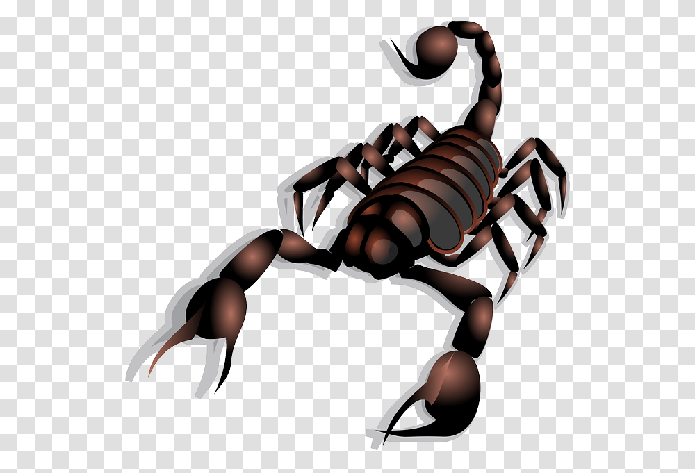 Babelstone Whats New In Unicode, Scorpion, Invertebrate, Animal, Person Transparent Png